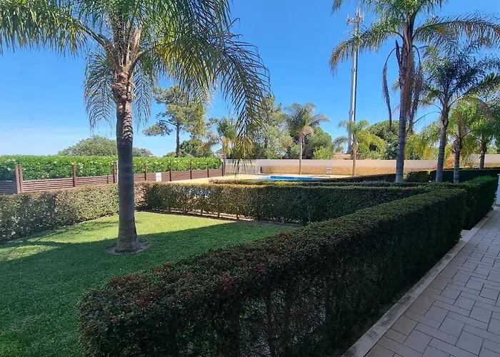 Garden Premium By Sunny Deluxe *