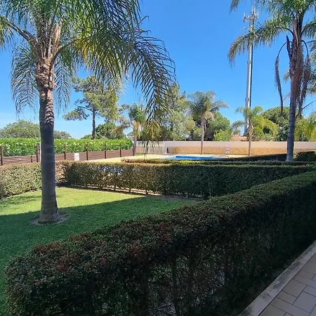 Garden Premium By Sunny Deluxe *